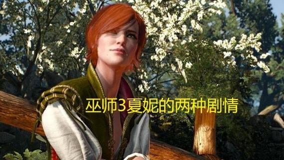 《巫师3：狂猎》夏妮两种剧情是什么？