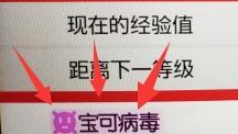 《宝可梦 剑》宝可梦病毒有坏处吗？