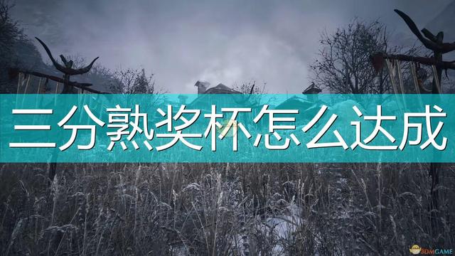 《生化危機8：村莊》如何獲得獎盃三分熟？以及難點心得?