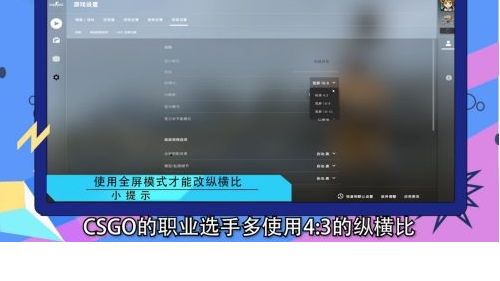 《反恐精英：全球攻勢》csgo職業選手畫面如何設置？