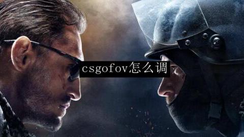 《反恐精英：全球攻势》csgo视野fov怎么调？