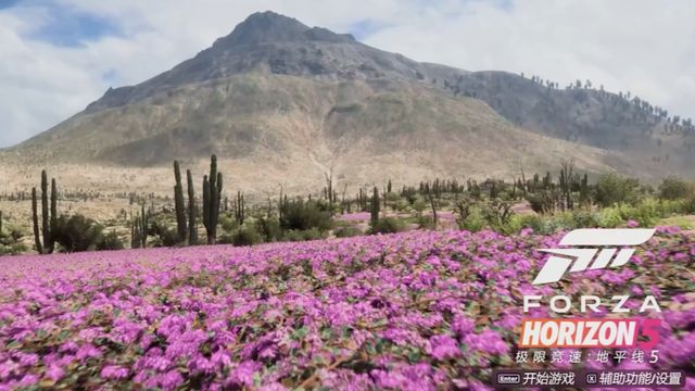 《极限竞速：地平线5》地平线5怎么自己做图案？