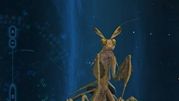 《古剑奇谭3》如何获得祈花螳螂?喜欢什么食物?