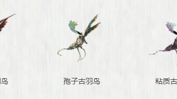 《星际战甲》古羽鸟在哪？