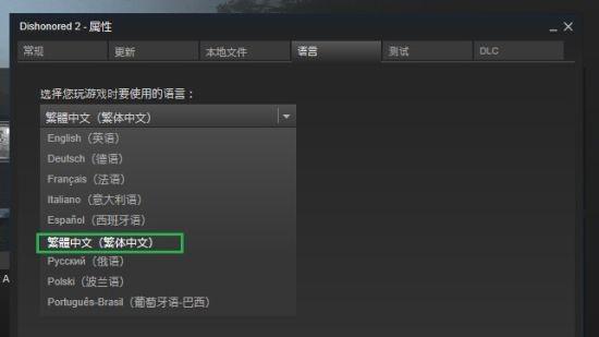 《羞辱2》耻辱2正版怎么调中文？