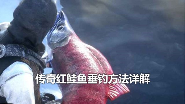 《荒野大鏢客：救贖2》傳奇紅鮭魚垂釣方法詳解