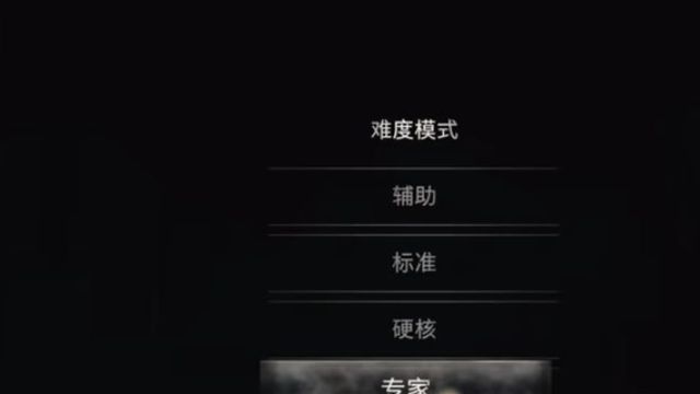 《生化危机4：重制版》怎么调整难度？