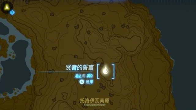 《塞尔达传说：王国之泪》王国之泪龙之泪是什么？