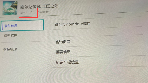 《塞尔达传说：王国之泪》怎么看版本信息？