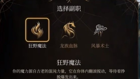 《博德之门3》术士兼职什么好？